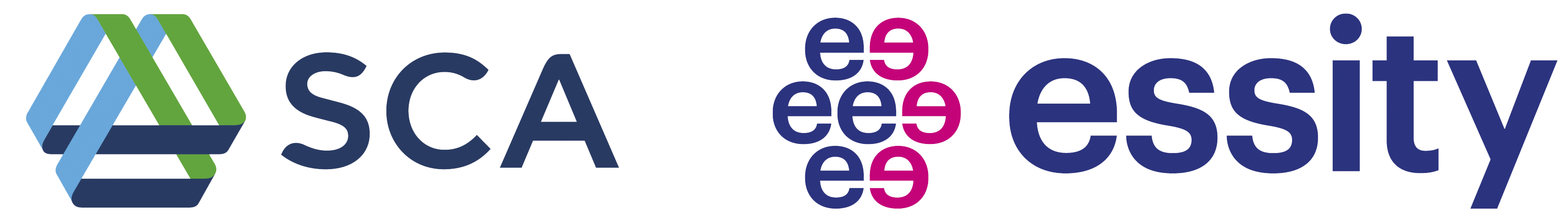 ЭССИТИ. Ессити лого. Значок ЭССИТИ. Шведская компания Essity.