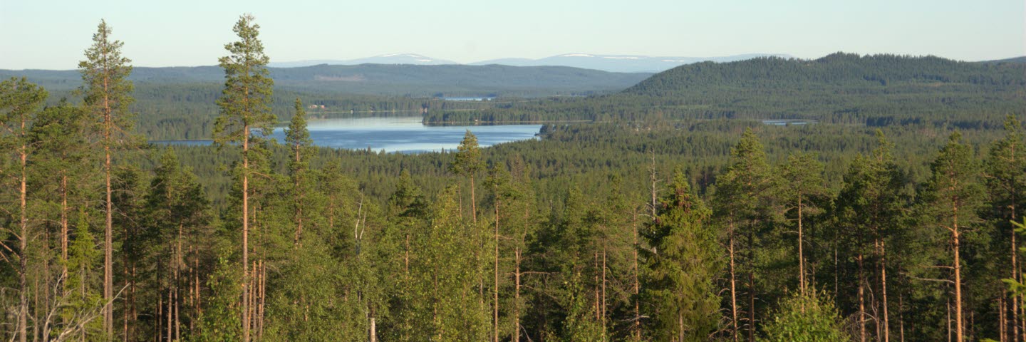 Märlingsberget. Klunsen mot Sidsjön.