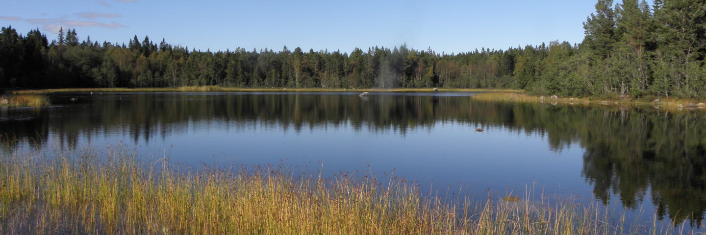 Njurundakustens mångfaldspark