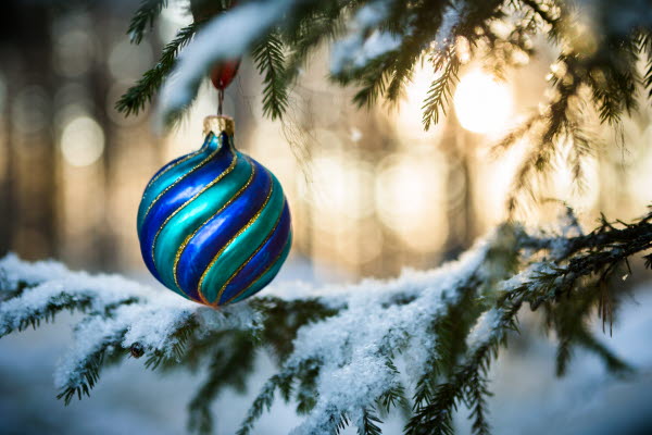 Julfika i Medelpad