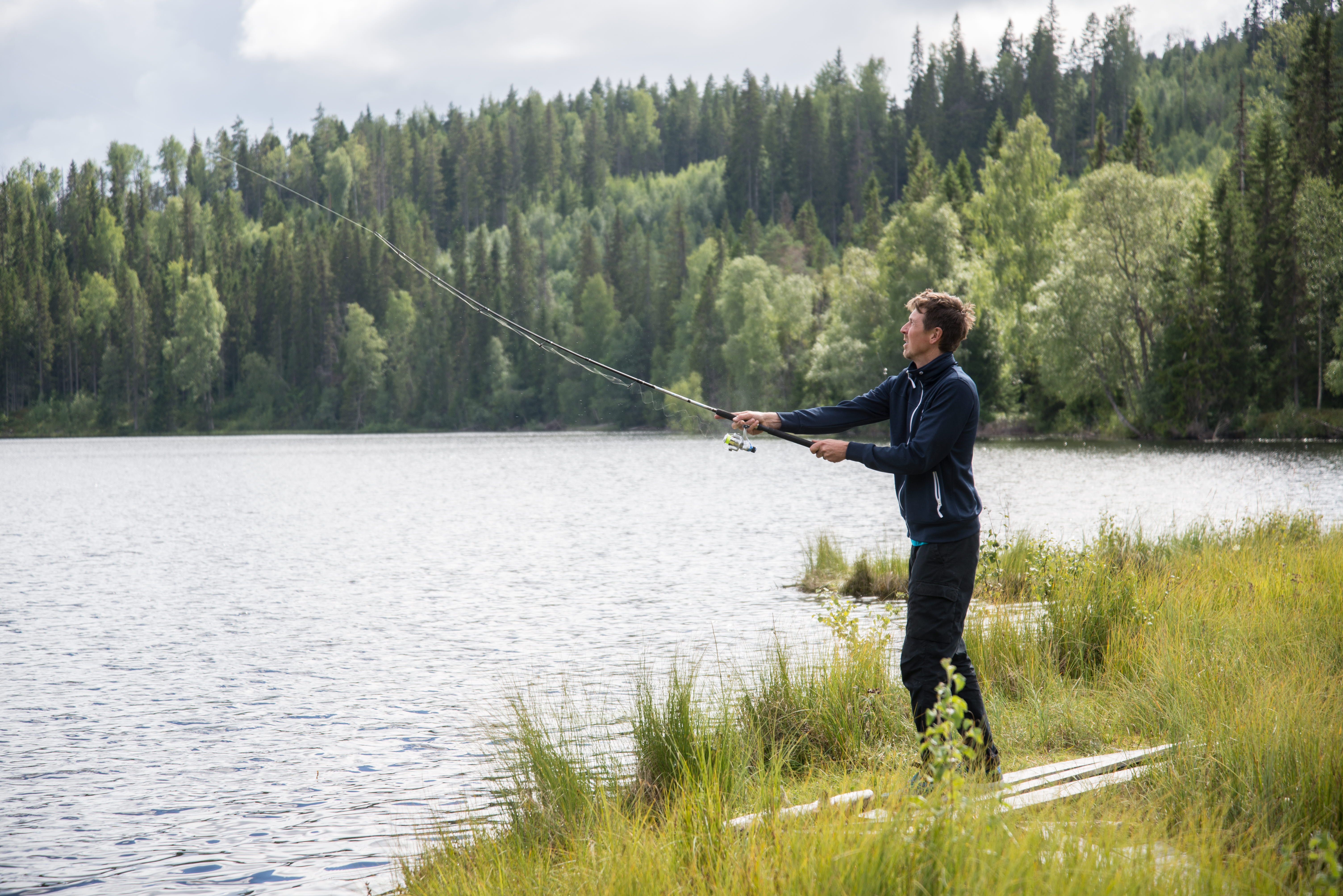 Niklas Sundberg, Medelpads skogsförvaltning. Lögdö Wild. Lögdö vildmark.