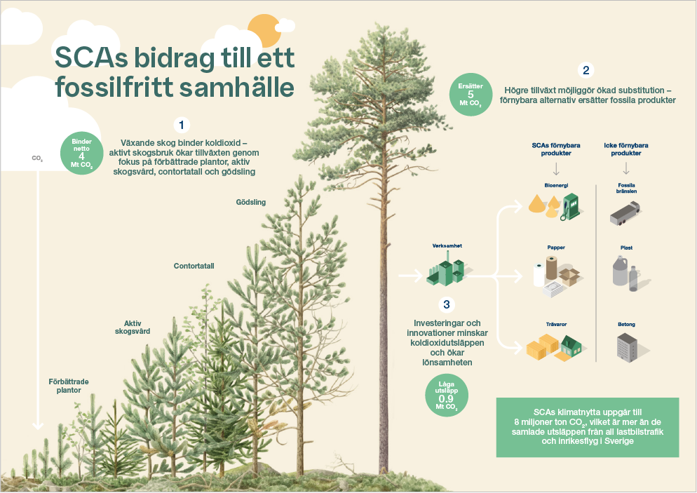 Exempel på illustration 