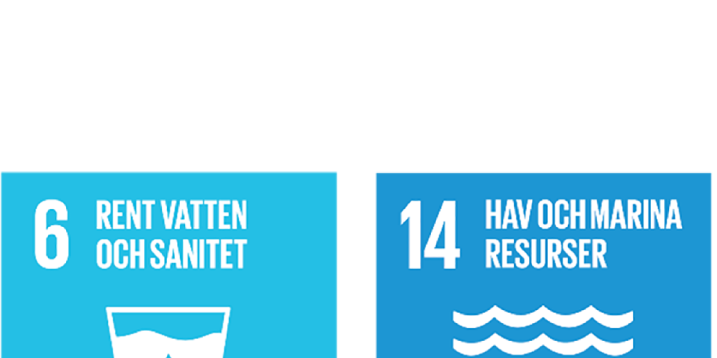 FNs globala mål 16,14