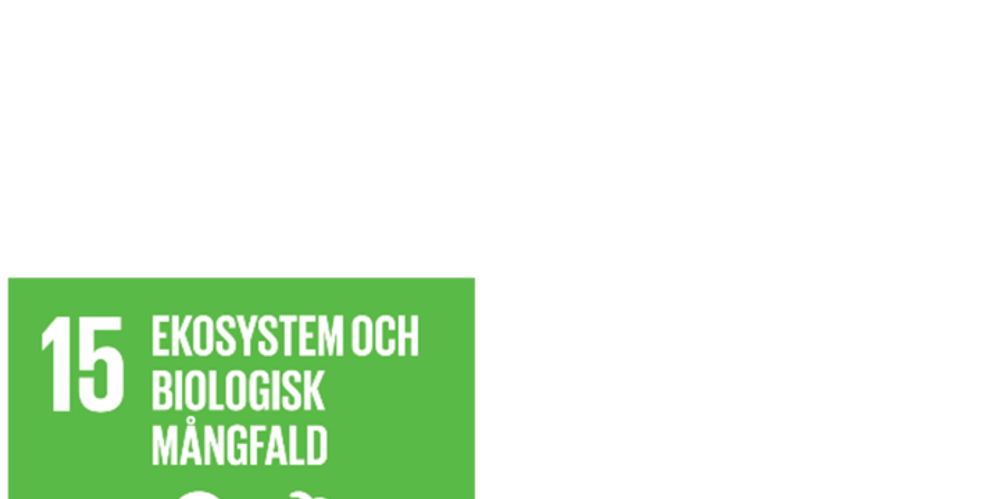 FNs globala mål 15
