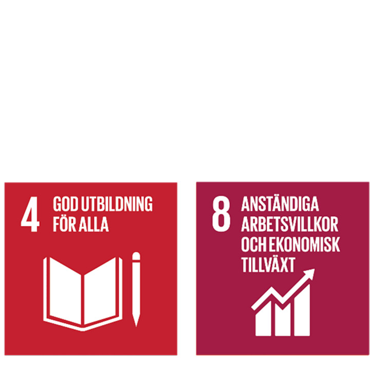 FNs globala mål 3,5