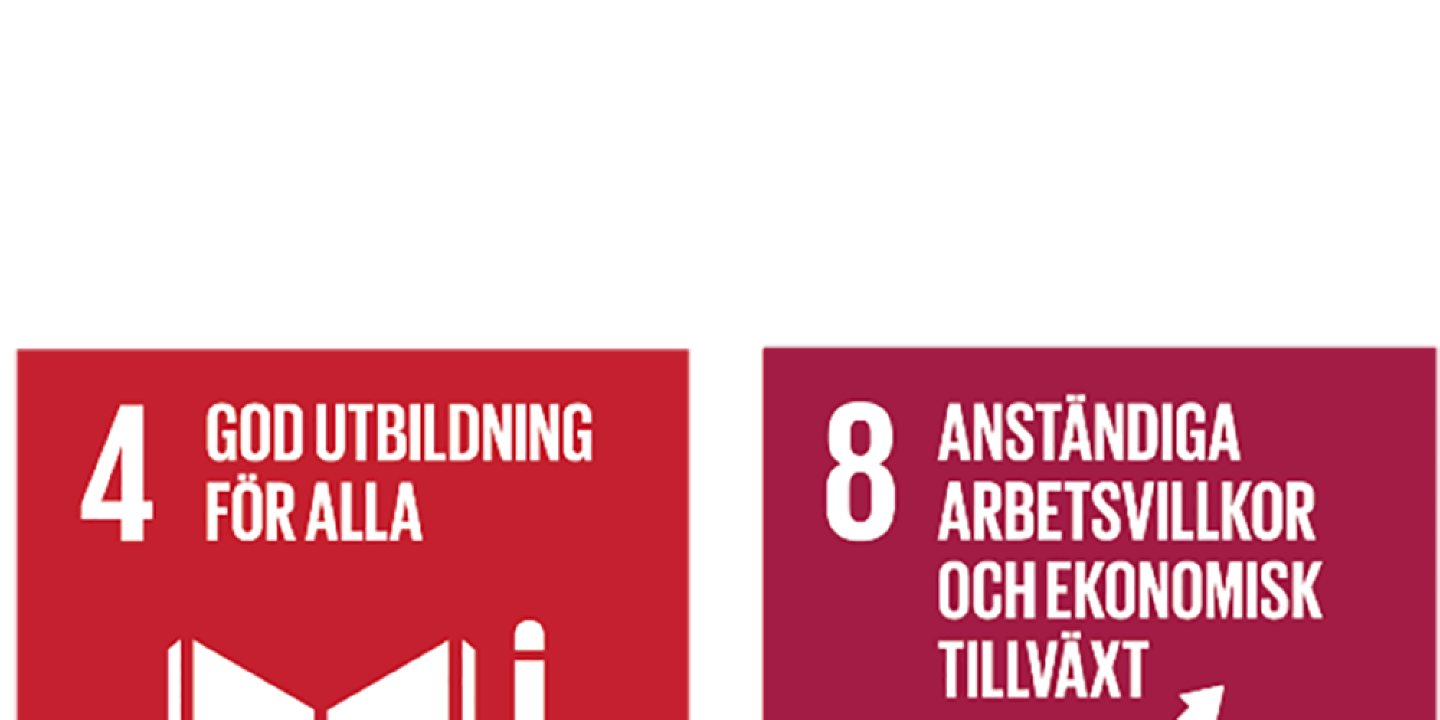 FNs globala mål 3,5