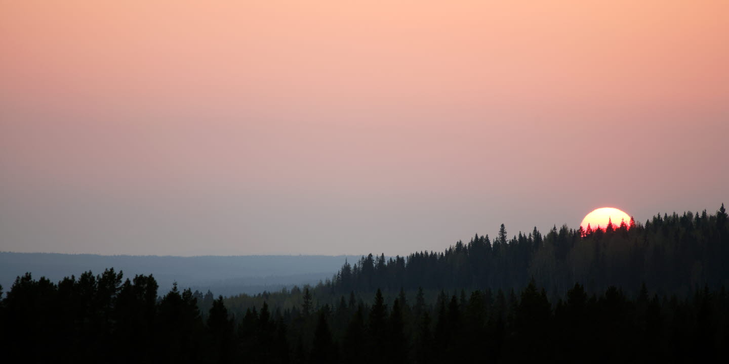 Solnedgång i skogen NorderåsenSunset in the forest Norderåsen