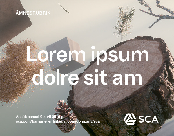 Exempel på stillbilder