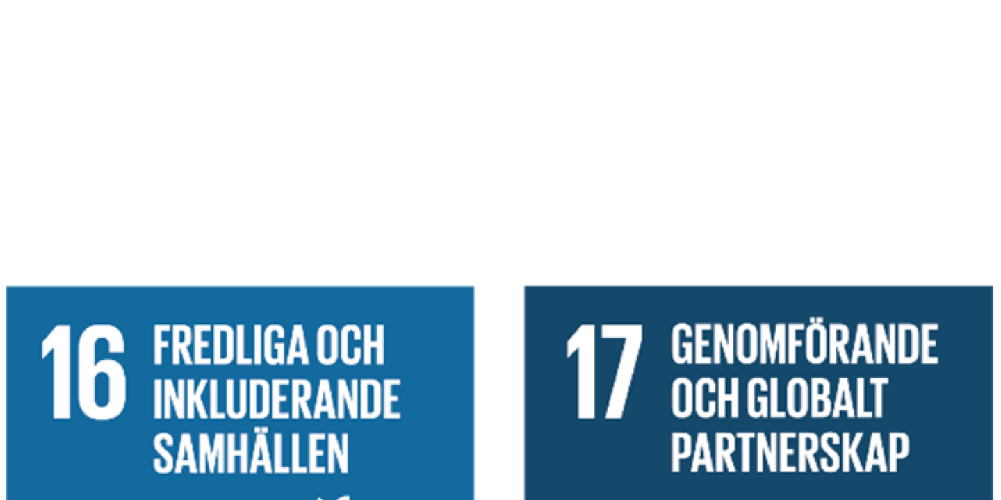 FNs globala mål 16,17