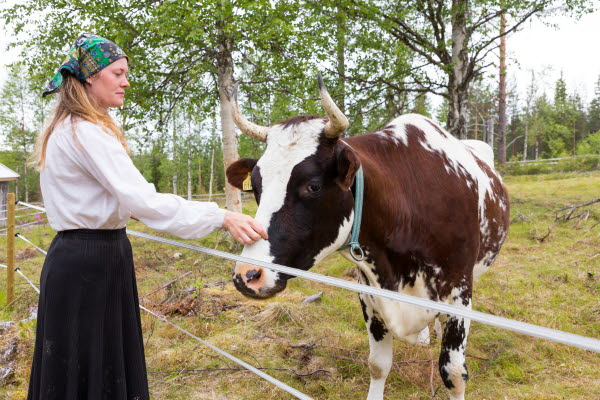 Familjedag vid Antesbodarna
