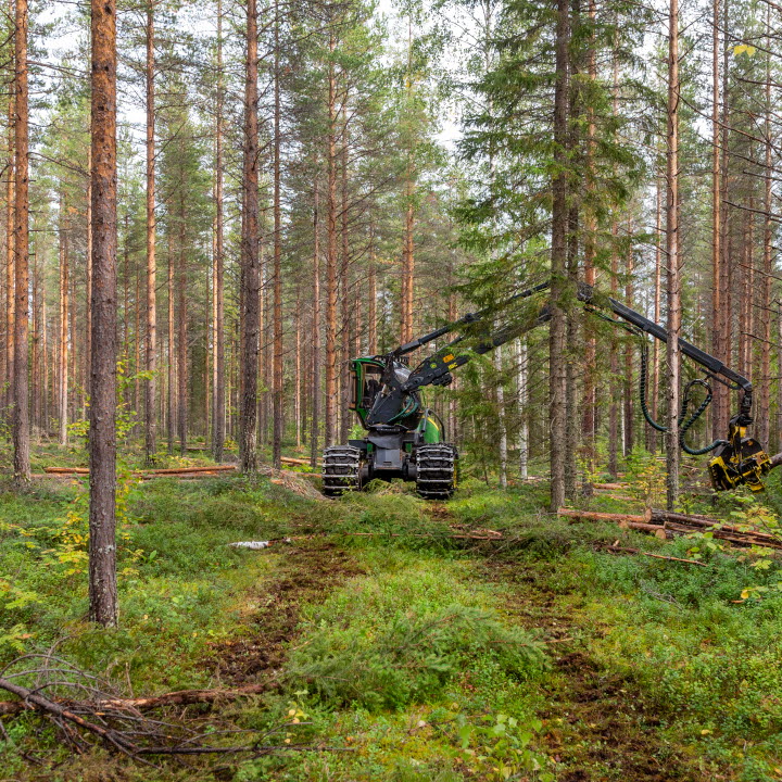 Skördare som gallrar i Västerbotten