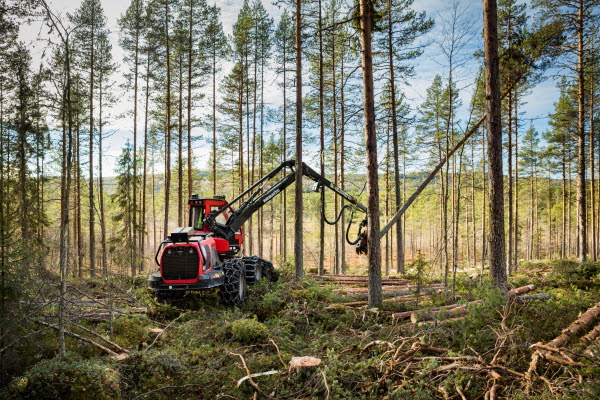 Gallringsträff i Jomark