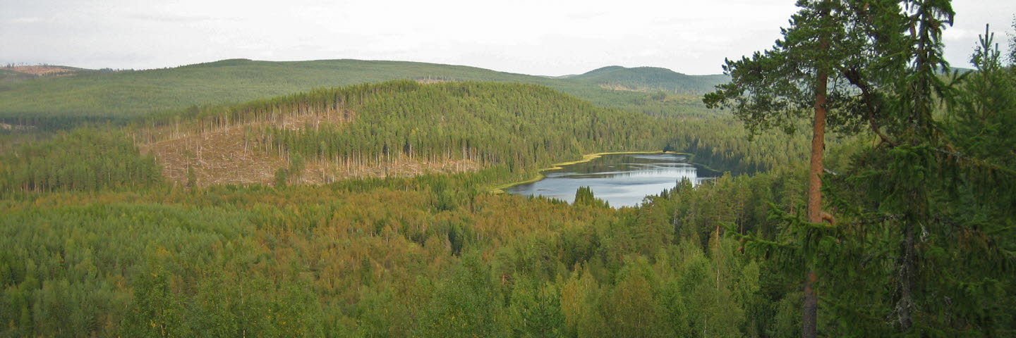 Sörgraninge mångfaldspark