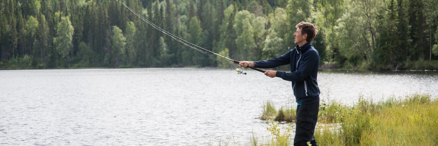 Niklas Sundberg, Medelpads skogsförvaltning. Lögdö Wild. Lögdö vildmark.