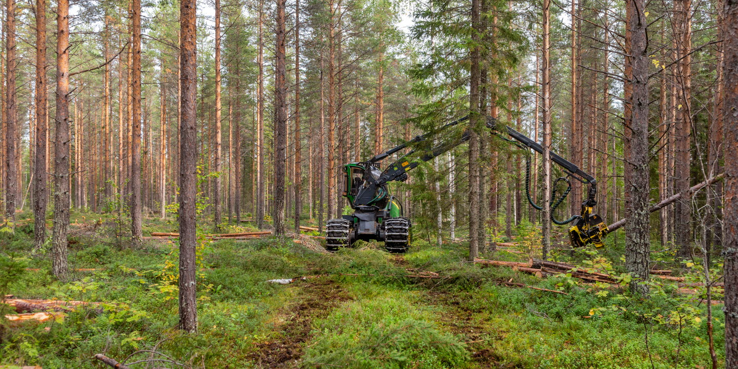 Skördare som gallrar i Västerbotten